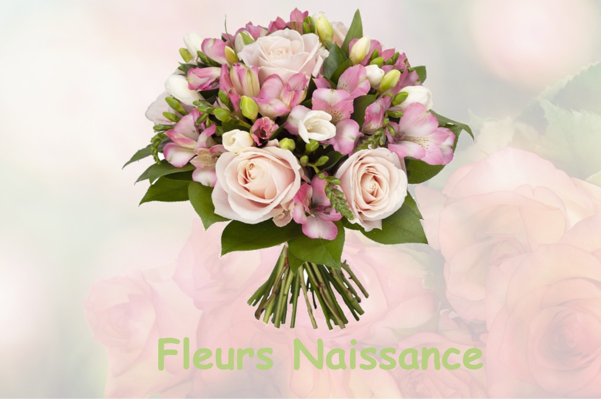 fleurs naissance ARJUZANX