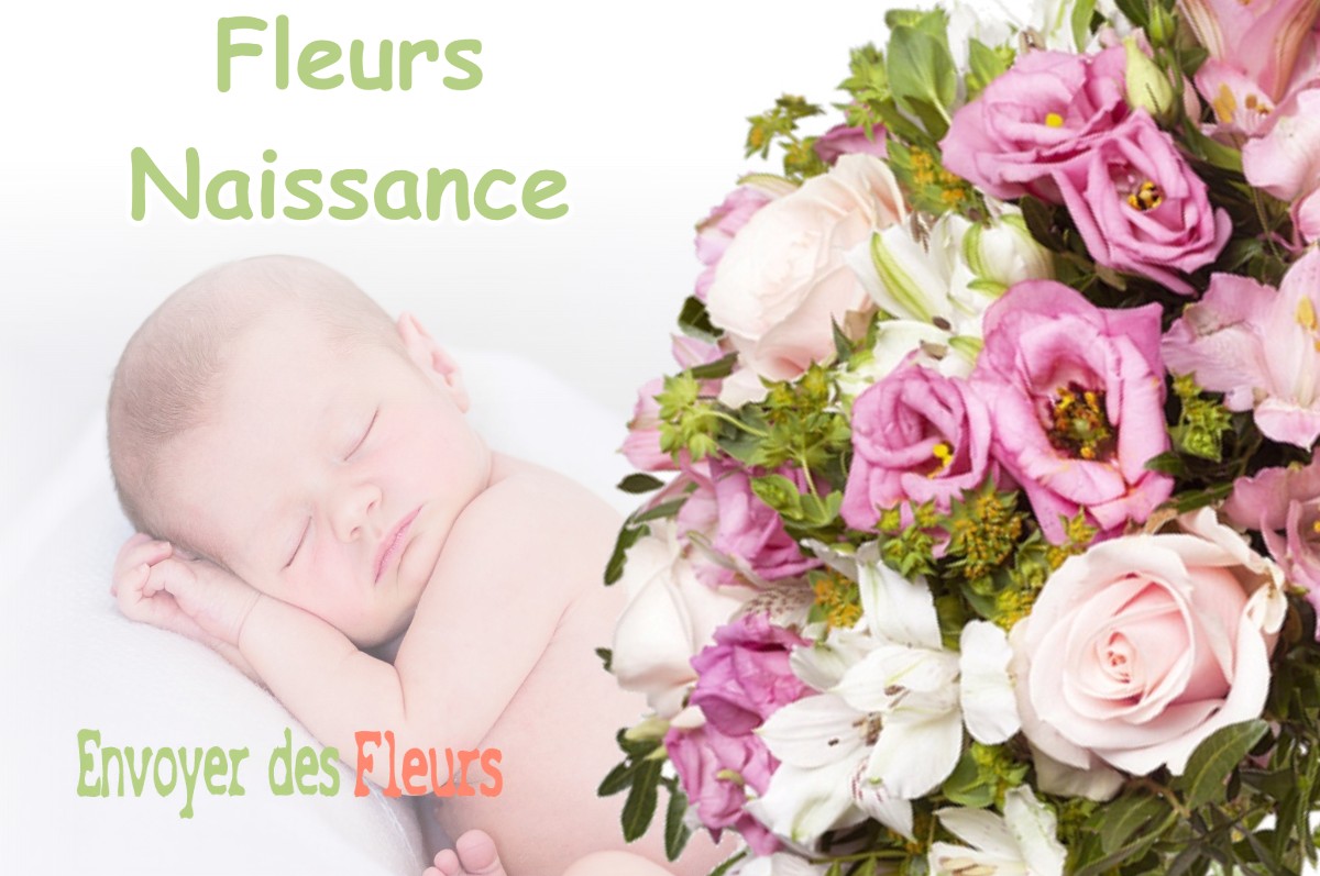 lIVRAISON FLEURS NAISSANCE à ARJUZANX